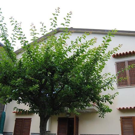 Il Susino Appartement Tirrenia Buitenkant foto