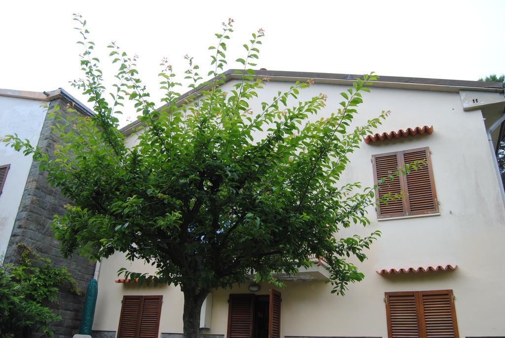 Il Susino Appartement Tirrenia Buitenkant foto